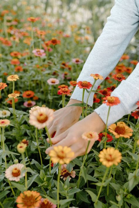 Floral workshops offered here at CC Bloom Flower Farm here in the Okanagan. Now booking for 2023! Spend the day learning how to make a floral arrangment here at the CC Bloom studio, sip wine and end the evening off with a intimate, catered dinner. #flowerfarm #florals #floralarrangments Flower Farm Photography, Flower Farm Pictures, Flower Farm Photoshoot Ideas, Flower Shop Photography, Florist Headshots, Flower Farm Aesthetic, Flower Farm Photoshoot, End Of Summer Aesthetic, Cropping Photography