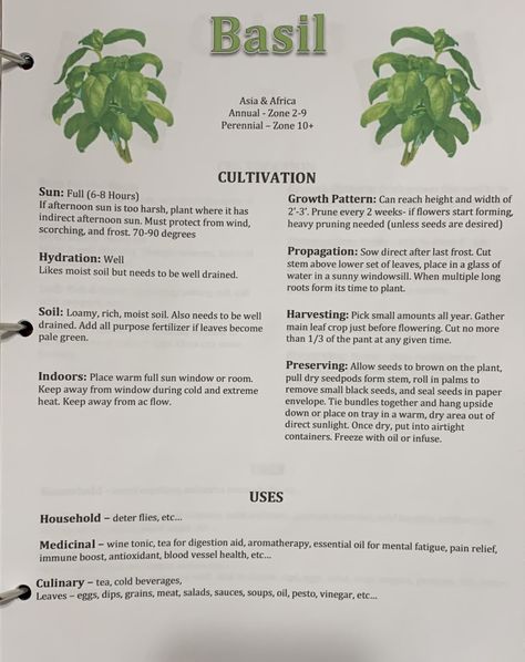 Survival Journal, Garden Binder, Herbal Monographs, Basil Benefits, Witch's Apothecary, Medicinal Herbs Remedies, Herbal Witch, Herb Life, Medicinal Herbs Garden