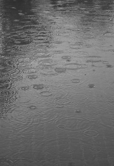 Rainy Day Aesthetic, I Love Rain, Rain Wallpapers, Love Rain, Walking In The Rain, Spring Rain, Rainy Night, Gray Aesthetic, Sound Of Rain