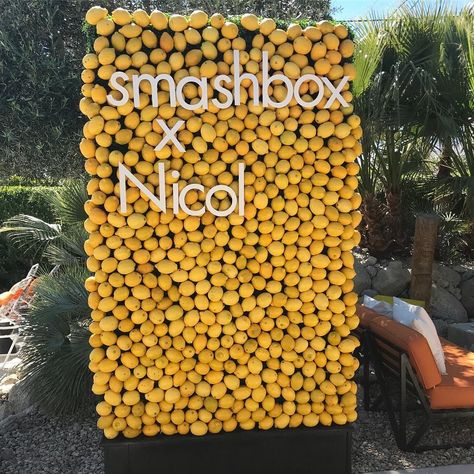 Lemon Photo Backdrop, Lemon Theme Backdrop, Citrus Photo Backdrop, Lemon Display, Lemon Backdrop, Lemon Themed Wedding, Retro Pool Parties, Hexagon Photo, Wisteria Lane