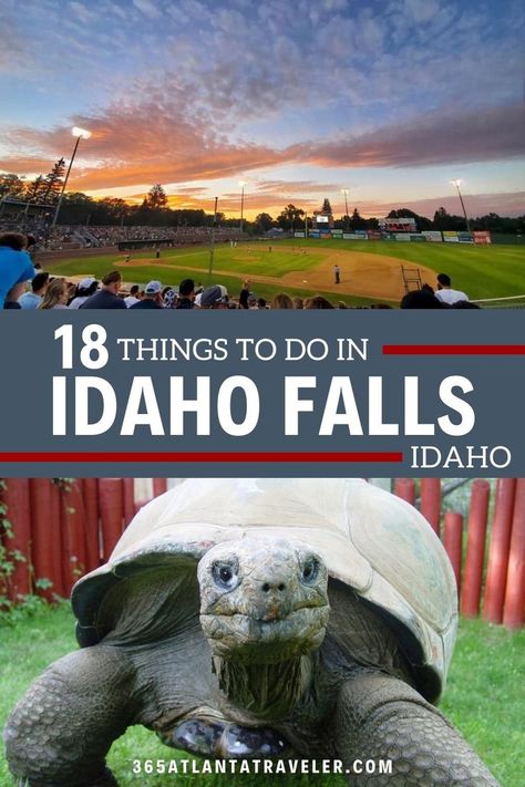 Few cities in the U.S. are quite as scenic as Idaho Falls, Idaho. Resting near the 600-foot-wide waterfalls of the Snake River, the city is packed to the brim with many incredible sights and beautiful places to explore. Here are 18 things to do in Idaho Falls that we know you and your family will love. Things To Do In Idaho Falls, Idaho Hot Springs, Things To Do In Idaho, Idaho Vacation, Visit Idaho, Mountain Vacation, Mountain Vacations, Idaho Falls, Places To Explore