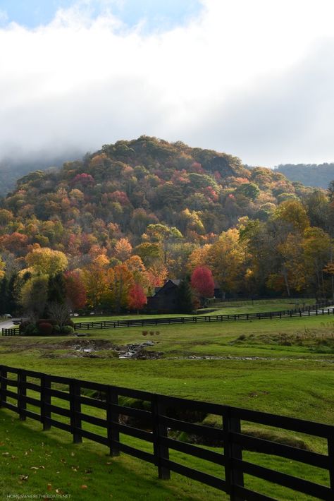 North Carolina Scenery, Fall In Mountains, House In North Carolina, North Carolina Farmhouse, North Carolina Countryside, Houses In North Carolina, South Carolina Mountains, Raleigh North Carolina Aesthetic, North Carolina Houses