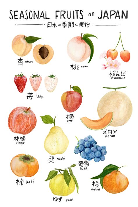 Seasonal Fruits of Japan at ArtfullyWalls, A botanical illustration featuring a selection of seasonal fruits available in Japan, labeled in kanji (with English pronunciation) Bahasa Jepun, Materi Bahasa Jepang, Japanese Language Lessons, Seasonal Fruits, Learn Japanese Words, Japanese Phrases, Japanese Language Learning, Foreign Language Learning, Japanese Words