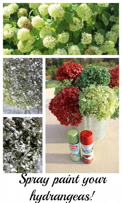 Spray paint hydrangeas. Use any color you want. After three years, mine still look great! Paint Hydrangeas, Spray Paint Can, Old Fashioned Oatmeal, Winter Gardening, Dried Hydrangeas, Spray Paint Cans, Diy Gardening, Work Diy, Decorating Themes