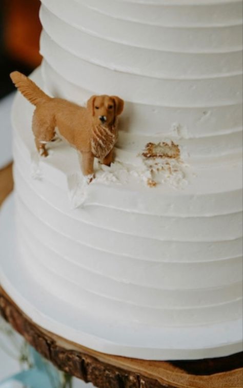 Wedding Cake With Puppy, Dog Theme Wedding Cake, Golden Retriever On Wedding Cake, Puppy Wedding Cake, Dog Incorporated In Wedding Cake, Dogs Eating Wedding Cake, Wedding Cake With Animals, Dog Figure Eating Wedding Cake, Dogs Wedding Cake