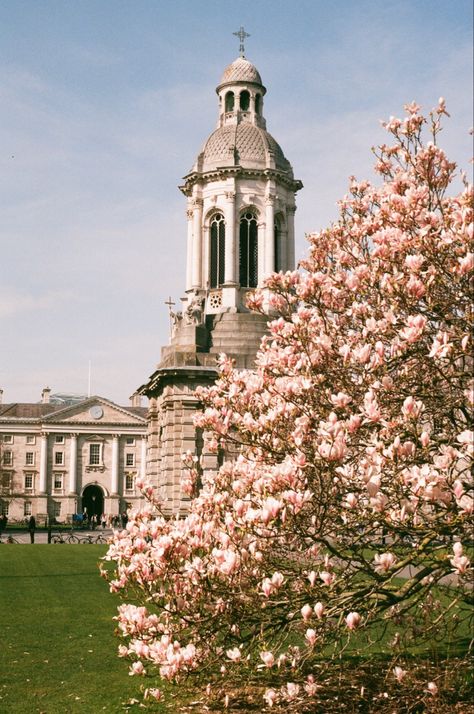 Trinity College Dublin Dorm, Trinity College Dublin Aesthetic, Trinity Dublin, Dublin Aesthetic, Ireland Spring, Ireland 2023, Irish Goodbye, Summer Posters, Ireland Aesthetic