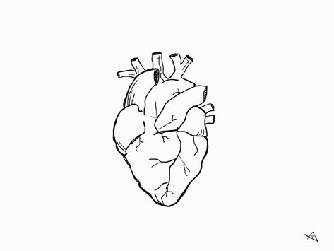 Beating Heart Tattoo, Drawing Animation Gif, Heart Animation, Love Animation, Drawing Animation, Heart Gif, Music Clips, Human Heart, Collage Illustration