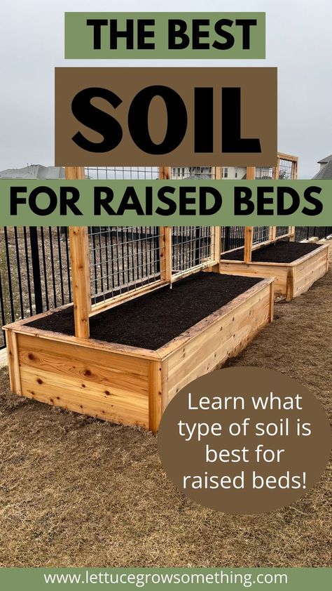 The best soil for raised beds. Learn what type of soil is best for raised beds. Two raised beds made from cedar with a panel trellis down the middle pictured. Soil For Raised Garden Beds, Garden Watering Schedule, Raised Garden Bed Soil, Watering Raised Garden Beds, Raised Container Garden, Beautiful Raised Garden Beds, Lettuce Grow, Raised Bed Gardens, Raised Garden Beds Diy Vegetables