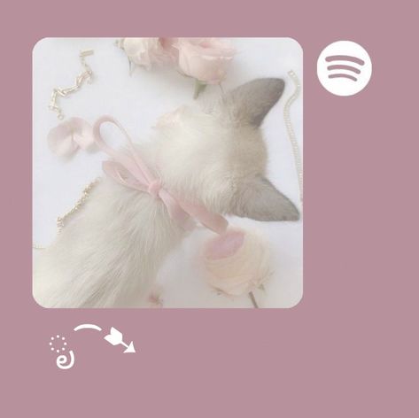 Widget Pink Aesthetic, Spotify Widget, Widget Pink, Pastel Pink Icons:), Pink Wallpaper Ipad, Alien Drawings, Cute Blue Wallpaper, Bow Wallpaper, Soft Pink Theme