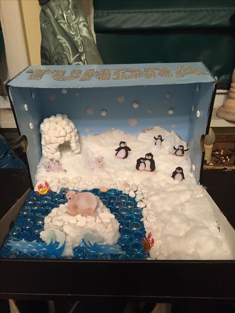 Biome Diorama, Animal Diorama, Ecosystems Diorama, Tundra Biome, Rainforest Crafts, Penguins Project, Biomes Project, Diorama Kids, Diorama Project