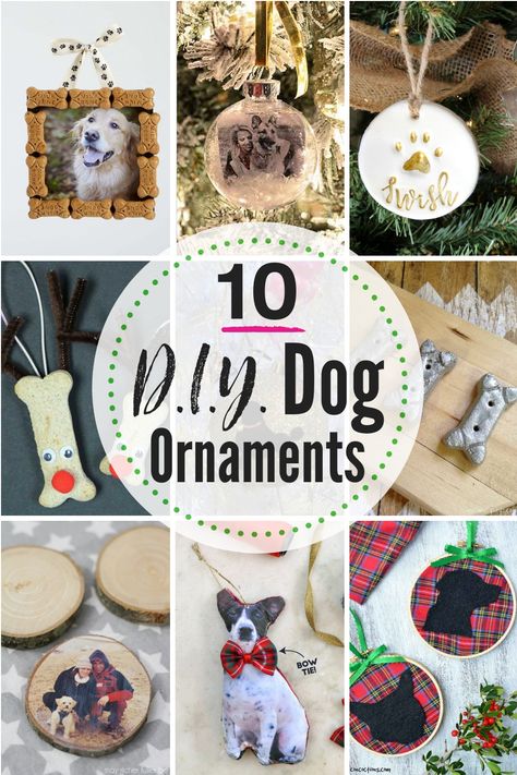 10 DIY dog ornaments for the pet lover, dog mom or dog dad in your life! Check out these 10 easy DIY ornament crafts for pets. #dog #ornament #christmas #dogornamentideas #dogornaments #DIYchristmasornaments #petornament #DIYdogornaments #DIYdogcrafts Homemade Dog Ornaments Christmas, Diy Dog Crafts Decor, Diy Pet Christmas Gifts, Homemade Pet Ornaments, Dog And Cat Christmas Ornaments Diy, Cute Dog Christmas Ornaments, Pet Themed Christmas Tree Ideas, Puppy Christmas Ornaments Diy, Diy Pet Gifts Craft Ideas