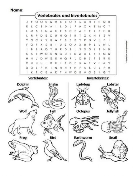 Vertebrates And Invertebrates Worksheets, Ea Vowel Team, Types Of Vertebrates, Invertebrates Animals, Vertebrates And Invertebrates, Digraph Words, Animal Classification, Blooms Taxonomy, Long E