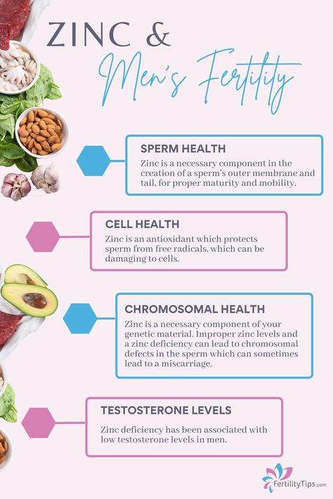 Male Fertility Boost, Fertility Vitamins, Fertility Nutrition, Fertility Tips, Sperm Health, Zinc Deficiency, Fertility Foods, Fertility Health, Healthy Hormones