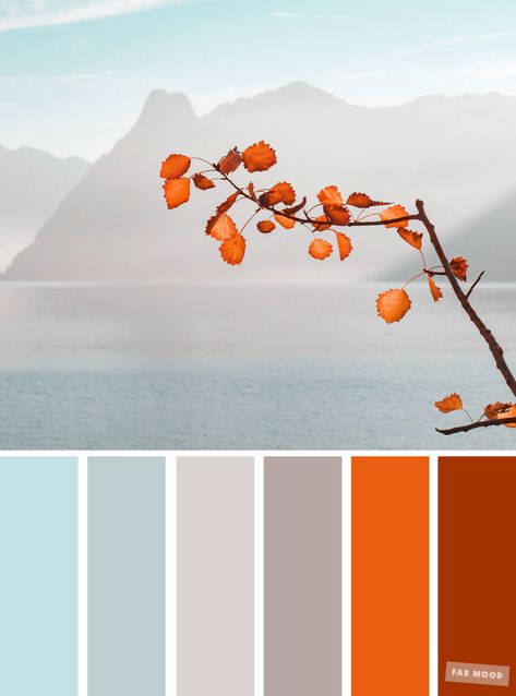 Burnt orange light blue and grey color palette #colors #autumn #autumncolour Brick Red And Blue Color Palette, Teal And Orange Interior Design, Colour Schemes With Grey, Colour Palette Light Blue, Orange And Grey Color Palette, Burnt Orange And Light Blue Wedding, Grey Orange Color Palette, Colours That Go With Orange, Orange And Grey Living Room