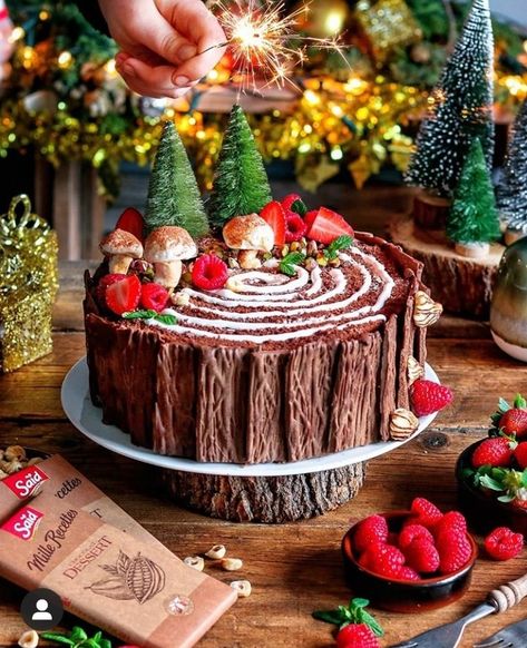 Christmas Log Cake, Sweet Easy Recipes, Tree Stump Cake, Swiss Cake, Christmas Themed Cake, Xmas Desserts, Yule Log Cake, Cake Light, Eat Cookies