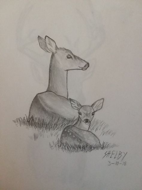 Doe and fawn sketch 2018 Doe And Fawn Painting, Doe Drawings Sketches, Doe And Fawn Drawing, How To Draw A Fawn, Doe Deer Drawing, Fawn Drawing Sketches, Deer Sketch Simple, Doe Drawings, Doe Sketch