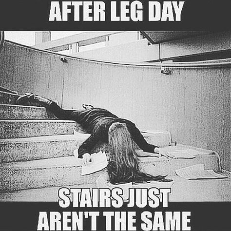 Leg Day Quotes, Leg Day Humor, After Leg Day, Gym Humour, Fitness Memes, Fitness Humor, Dog Yoga, Gym Quote, Workout Memes