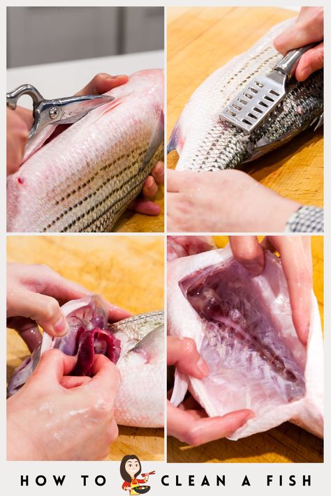 Steps for cleaning a whole fish. If you bought an ungutted and unscaled fish from the store, this is what you need to do to prepare the fish for cooking. #fish How To Cook A Whole Fish, How To Clean A Fish, How To Clean Fish, Sole Fish, Cooking Fish, Whole Fish, Cleaning Fish, Survival Skills Life Hacks, Fishing Diy