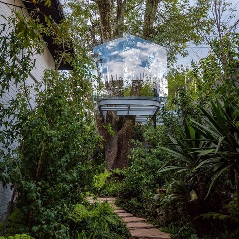 This Glass Treehouse Is Our Dream Hideaway - Designed by Mexican architect Gerardo Broissin for the annual Design Week Mexico Glass Tree House, Glass Treehouse, Garden Tree House, Backyard Treehouse, Unusual Houses, Resort Ideas, Tree House Designs, Hydroponic Plants, Unusual Homes