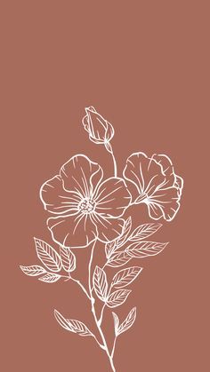 45 ⋆phone wallpapers⋆ ideas | aesthetic iphone wallpaper, iphone background wallpaper, minimalist wallpaper White Flower Wallpaper, Flower Graphic Design, Boho Wallpaper, Bohemian Flowers, 수채화 그림, Backgrounds Phone Wallpapers, Flower Graphic, Flower Phone Wallpaper, Pretty Wallpaper Iphone