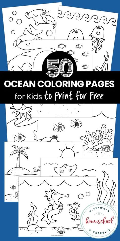 Free Ocean Animal Printables for Early Learners Octopus Coloring Page, Ocean Coloring Pages, Dolphin Coloring Pages, Turtle Coloring Pages, Animal Printables, Fish Coloring Page, Shark Coloring Pages, Homeschool Freebies, Color Sheets