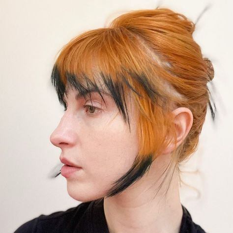 Haley Williams Hair, Dyed Bangs, Graduation Hairstyles With Cap, Color Block Hair, Dip Dye Hair, Extension Hair, Hair Specialist, Hayley Williams, Cut My Hair