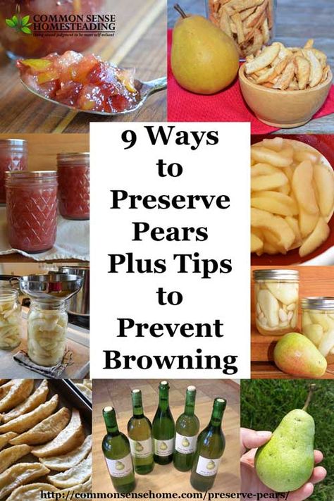 How to Preserve pears using canning, freezing, drying, freeze drying or fermenting. Their natural sweetness makes them a delicious snack or dessert. Preserving Pears, Freezing Pears, Preserve Pears, Preserved Vegetables, Freezing Produce, Freezing Recipes, Homestead Diy, Canning Pears, Pear Preserves