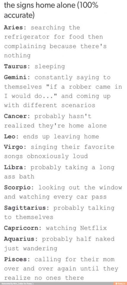 Zodiac Signs Funny Humor So True, Funny Zodiac, Zodiac Funny, Zodiac Sign Traits, Zodiac Stuff, Zodiac Society, Budget Planer, Zodiac Signs Horoscope, Aries Taurus