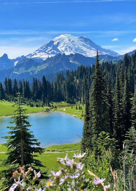 Mount Rainier National Park, Washington, USA Mount Rainier National Park, Washington Usa, Rainier National Park, Pretty Landscapes, Nature Garden, Landscape Pictures, Beautiful Scenery Nature, Alam Yang Indah, Nature Aesthetic