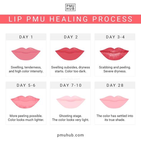 Lip Blushing Tattoo Healing Stages, Lip Blushing Healing Process, Pmu Lips Healing Process, Lip Blushing Tattoo Healing, Lip Blush Healing Process, Lip Blush Aftercare, Tattoo Healing Stages, Pmu Aftercare, Lip Color Tattoo