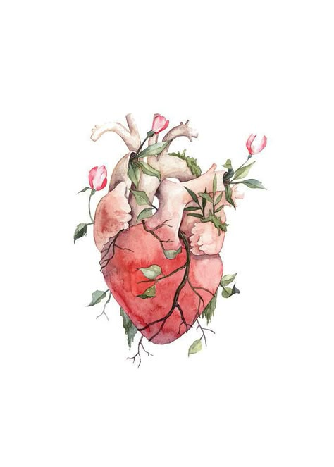 Heart Anatomy Drawing, Anatomical Heart Art, Frida Art, Arte Van Gogh, Heart Illustration, Heart Drawing, Heart Painting, Anatomical Heart, Human Heart