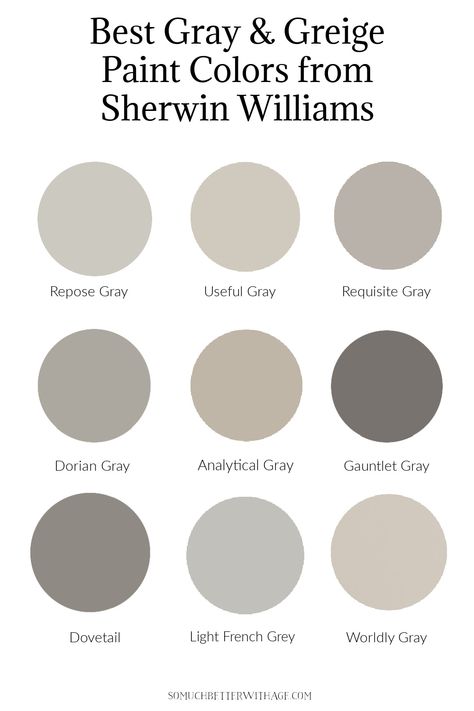 Griege Paint, Diy Sunroom, Sherwin Williams Greige, Best Greige Paint Color, Navy Blue Paint Colors, Worldly Gray, Brown Paint Colors, Black Paint Color, Greige Paint Colors