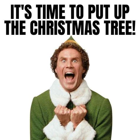 Time to put up the Christmas Tree meme Workout Memes Funny, Gym Memes Funny, Fitness Memes, Christmas Movie Night, Romantic Questions, Gym Crush, Best Christmas Movies, First Day Of Class, Christmas Memes