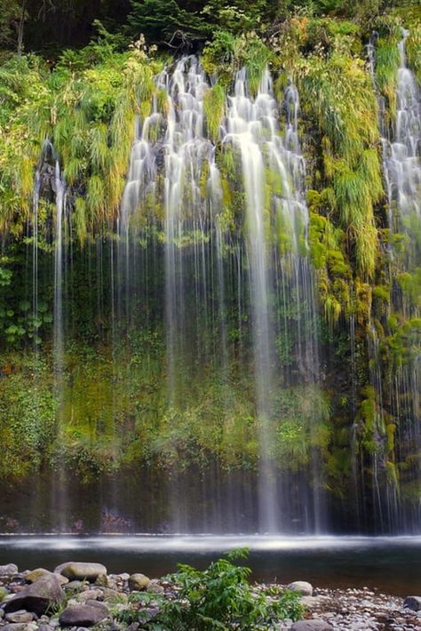 Check out "Mossbrae Falls" in California Mossbrae Falls Ca, Ribbon Falls, Lake Shasta Caverns, Dunsmuir California, Mossbrae Falls, California Waterfalls, Lake Shasta, Forest Falls, Mt Shasta