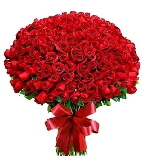 Love Rose Flower, Rose Flower Arrangements, Birthday Wishes Flowers, Rose Flower Pictures, Beautiful Flowers Images, Flower Box Gift, Rose Flower Wallpaper, Red Rose Bouquet, Beautiful Red Roses