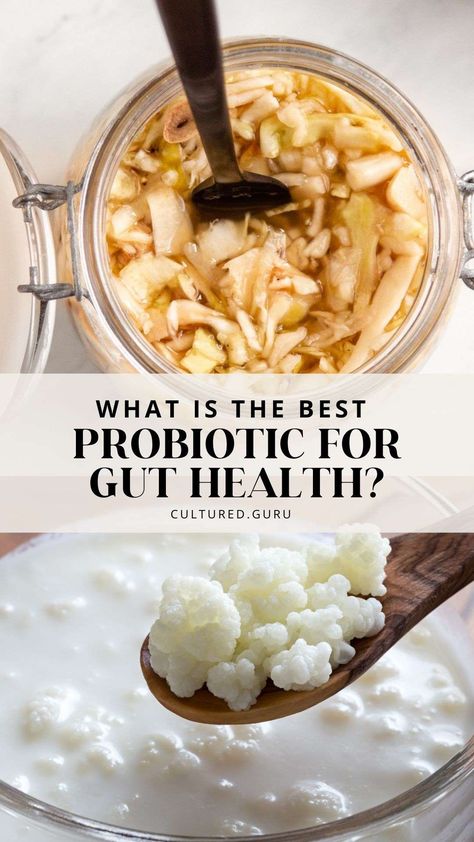 What is the best probiotic to take for gut health? what are probiotics? Is it necessary to buy expensive, special supplements labeled as "probiotic" to introduce these wonderful microbes into your health routine? Check out this blog for all the answers! #guthealth #probiotic #fermentedfoods What Are Probiotics, Best Probiotics, Probiotic Yogurt, Health Smoothie Recipes, Gut Health Diet, Natural Antibiotic, Probiotic Benefits, Gut Health Recipes, Wellness Shots