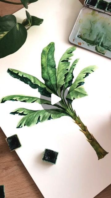 Artist 🎨 on Instagram: "Amazing Banana Tree 🌴 water colour painting ideas for Beginners # Banana Tree # water colour # painting # art work # beautiful painting #Instagram #instgram🎨🖌️" Banana Tree Watercolor, Tree Water Colour, Banana Tree Painting, Water Colour Painting Ideas, Water Colours Painting For Beginners, Colour Painting Ideas, Painting Instagram, Painting Ideas For Beginners, Banana Plants