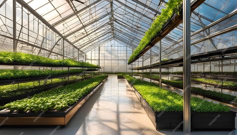 Premium Photo | A greenhouse with a lot of green plants and a sky background Greenhouse Background, Plants Background, Tree Background, Greenhouse Plants, Sky Background, A Sky, Stationery Templates, Business Card Maker, Flyer Maker