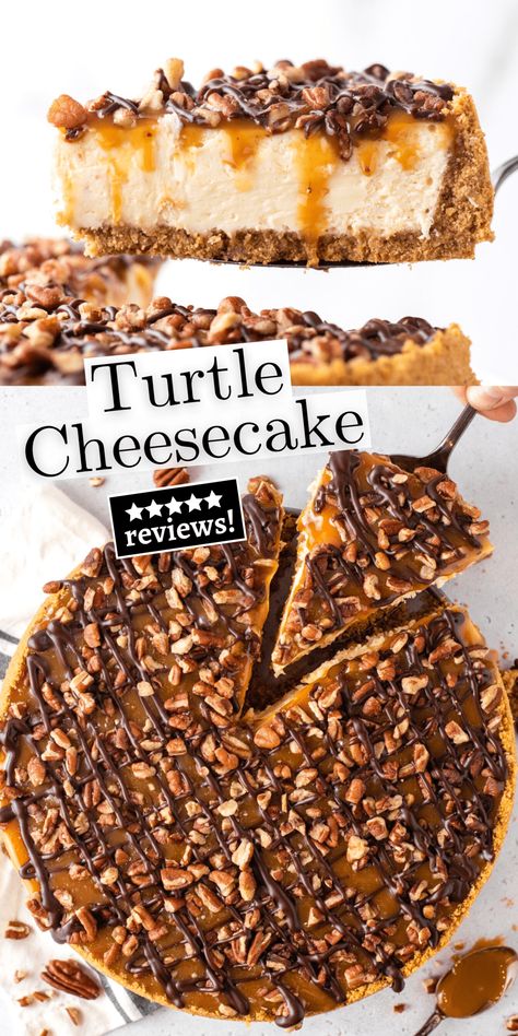 Take 5 Cheesecake, Cream Cheese Turtle Cake, Bakeless Cheesecake Recipes, Cheesecake Recipes Turtle, Turtle Cheesecake Recipe Easy, Turtle Desserts, Chocolate Turtle Cheesecake, Strawberry Cheesecake Cake Recipe, Cookies Recipes Chocolate