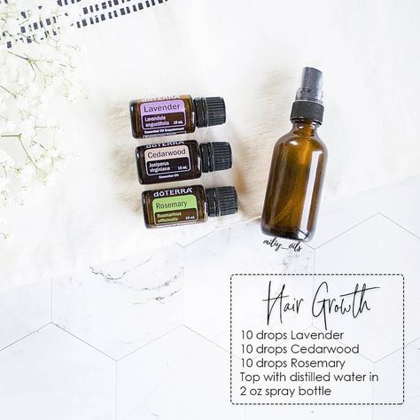 doTERRA oils 🌿 Julia on Instagram: “I've been getting lots of questions on what oils to use for hair growth. This seems to be a common issue many struggle with especially…” Diy Hair Growth Spray, Recipe For Hair Growth, Hair Oil Spray, Doterra Rosemary, Beauty Recipes Hair, Hair Growth Spray, Doterra Essential Oils Recipes, Diy Sprays, Hair Dry