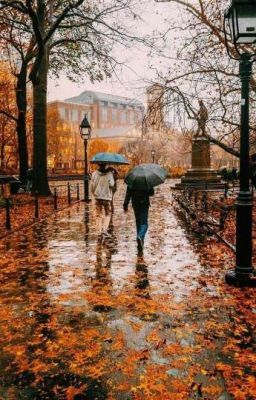 Poem #poetry #Poetry #amreading #books #wattpad Desen Realist, Autumn Rain, Fall Beauty, Washington Square Park, Walking In The Rain, Seasons Of The Year, Autumn Beauty, City Street, Fall Pictures