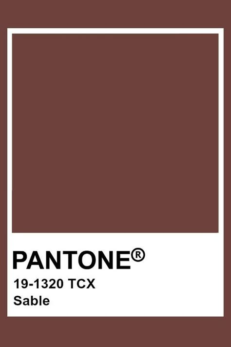 Fall Pantones - Studio McGee Terracotta Pantone, Brown Pantone, Pantone Tcx, Pantone Color Chart, Pantone Swatches, True Autumn, Pantone Palette, Pantone Colour Palettes, Pantone Colors