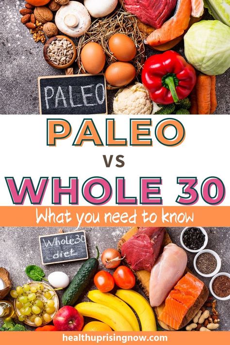 Foods you can eat on the paleo diet and whole 30 diet including fruits, vegetables, eggs, nuts, and fish Whole 30 Diet Rules, Whole 30 Vs Paleo, Whole 30 Results, Paleo Guidelines, Paleo Diet Benefits, Paleo Diet Rules, What Is Paleo Diet, Paleo Rules, Whole30 Diet