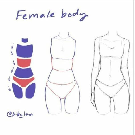 الفن الرقمي, Anatomy Tutorial, Body Drawing Tutorial, Body Reference Drawing, Sketches Tutorial, Art Tools Drawing, Art Help, Tutorials Drawing, Digital Painting Tutorials