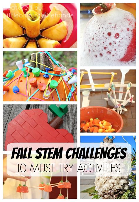 10 Must Try Fall Science Activities and STEM Challenges for Kids Stem Challenges For Kids, Fall Stem Challenges, Fall Science Activities, Fall Stem Activities, Challenges For Kids, Kindergarten Stem, Fall Science, Steam Ideas, Preschool Stem