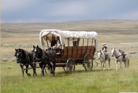 Step Back In Time With This Covered Wagon Ride In Wyoming Things To Do In Kansas, Dubois Wyoming, Things To Do In Yellowstone, Travel Wyoming, California Trail, Casper Wyoming, Horse Wagon, Western Trail, Wyoming Travel