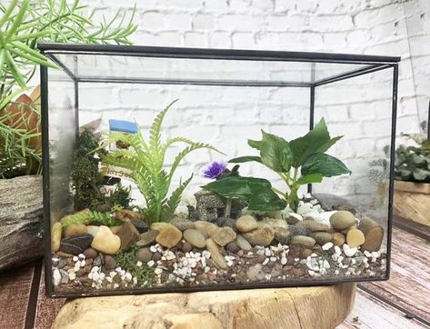 You can make either an open or closed terrarium in a few easy steps. You will need a fish tank or aquarium and ingredients to form a base layer, along with soil, plants, decorations, and a cover if you're using one. Terrariums need water and filtered sunlight to thrive. Fish Tank Plant Terrarium, How To Make A Terrarium, Making A Terrarium, Fish Tank Garden, Make A Terrarium, Tank Terrarium, Terrarium Tank, Closed Terrarium, Open Terrariums