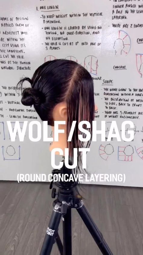 Shag Haircut Diagram, V Cut Vs U Cut Hair, Shag Haircuts For Long Hair, Concave Layers Short, Short Haircuts At Home, Hair Dye Tutorial Step By Step, Womens Wolf Haircut, Diy Long Wolf Cut Hair Tutorial, Adding Layers To Medium Hair