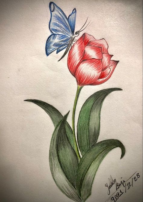 Butterfly Drawing On Flower, Butterfly Flowers Drawing, Butterfly On Flower Drawing, Butterfly And Flower Drawing, Flower And Butterfly Drawing, Orchid Drawing, Tulip Drawing, Desen Realist, Color Drawing Art