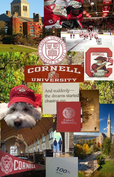 Ivy league Cornell University Aesthetic Wallpaper, Ivy League Motivation, Ivy League Wallpaper, Black Ivy League, Personal Legend, Uni Motivation, Ivy League Aesthetic, Cornell College, University Inspiration